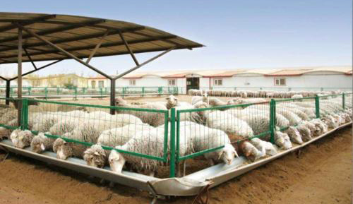 養(yǎng)殖場(chǎng)沼氣發(fā)電