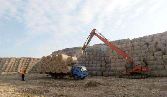 生物質(zhì)沼氣發(fā)電機(jī)組氮氧化物治理