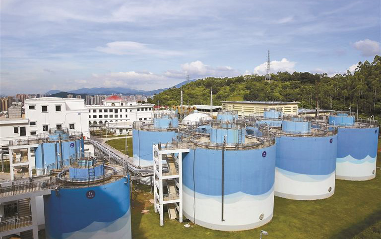 餐廚垃圾發電廠脫硝 餐廚垃圾發電廠脫硝