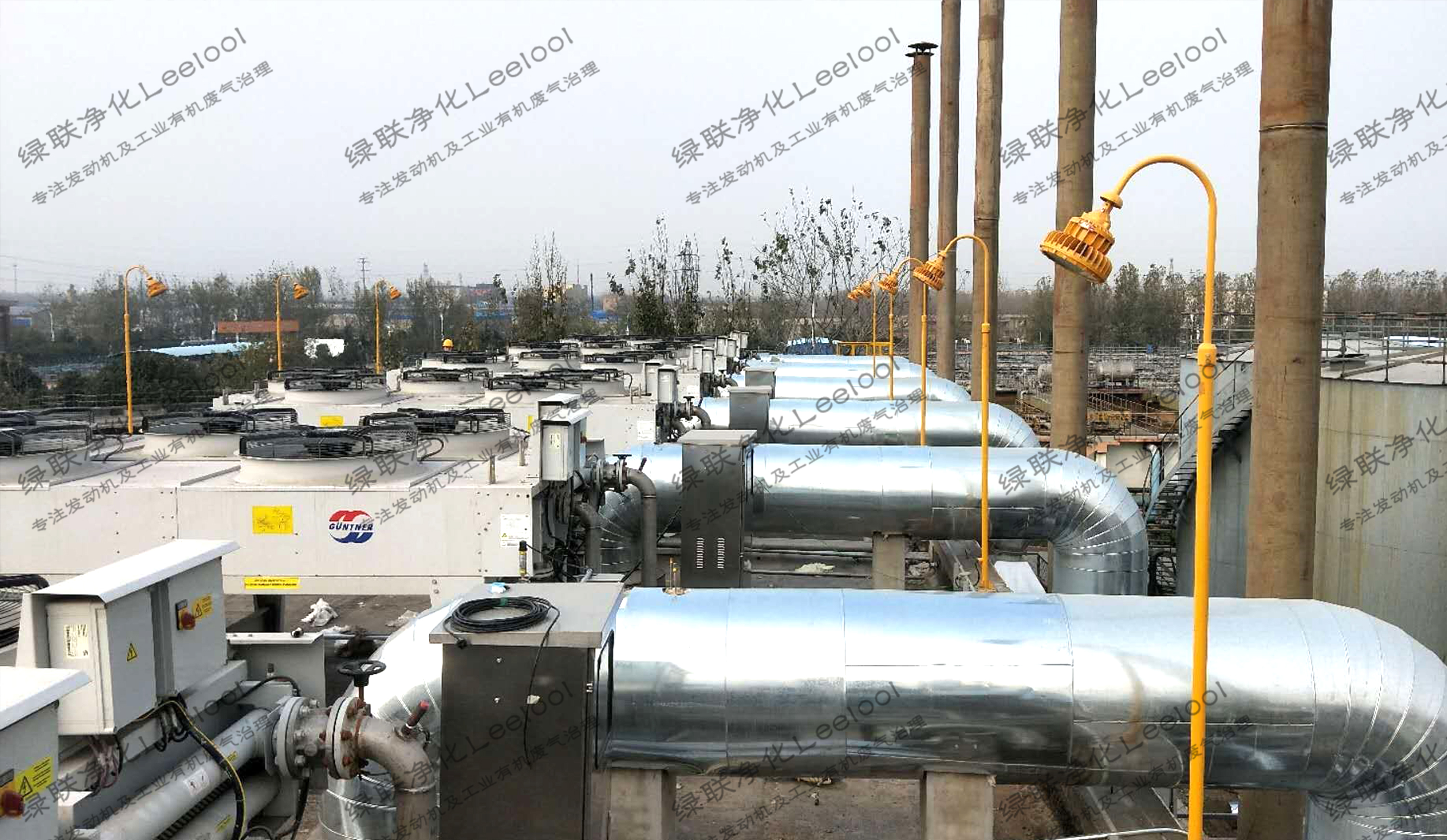 沼氣發電機組脫硝